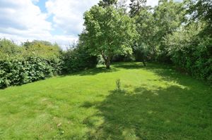 Lawn Area- click for photo gallery